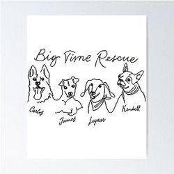 Big Time Rush Poster
