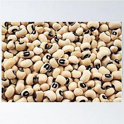 An extreme macro image of black eyed peas