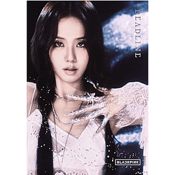 3rd MINI ALBUM DEADLINE JISOO DTNK1303 Blackpink Poster