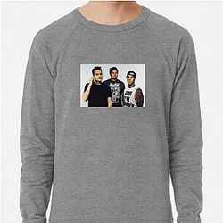 Blink 182 Merch For Fans Blink 182 Sweatshirts