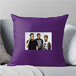 Blink 182 Merch For Fans Blink 182 Pillows Cover