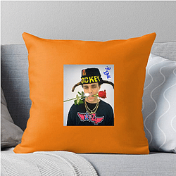 Blp Kosher Limited Collection Blp Kosher Pillows Cover