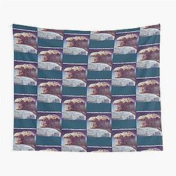 Blue Oyster Cult Tapestry