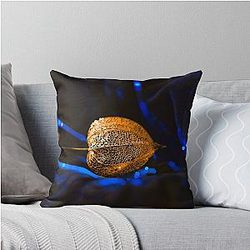 Golden Seed Pod on Blue Velvet Pillow