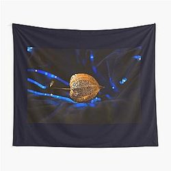 Golden Seed Pod on Blue Velvet Tapestry