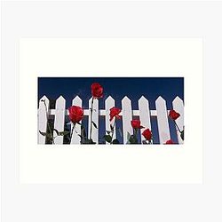Blue Velvet Print