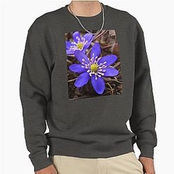 Blue Velvet Sweater