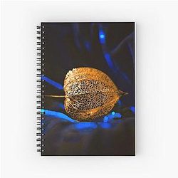 Golden Seed Pod on Blue Velvet Notebook