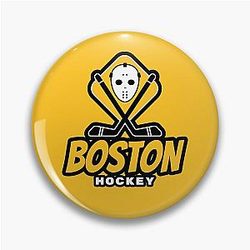 Boston Bruins Pin