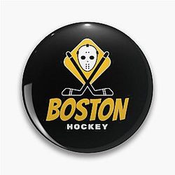 Boston Bruins Pin