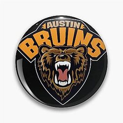 Art Boston Bruins Pin