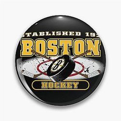 Art Boston Bruins Pin