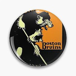 Art Boston Bruins Pin