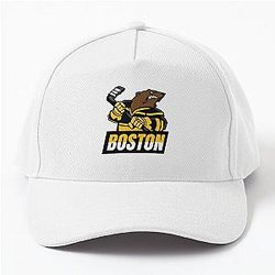 Art Boston Bruins Cap