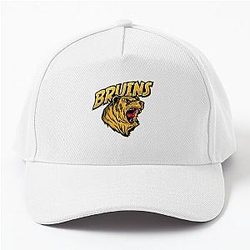 Art - Boston Bruins Cap