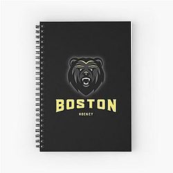 Boston Bruins Hockey Notebook