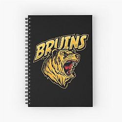 Art Boston Bruins Notebook