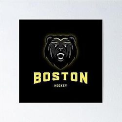 Boston Bruins Poster