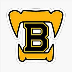 Boston Bruins Teeth Sticker