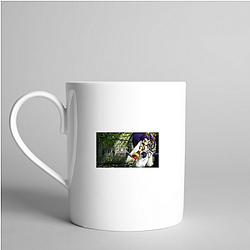 Brave Fencer Musashi Merchandise For Fans Brave Fencer Musashi Mugs
