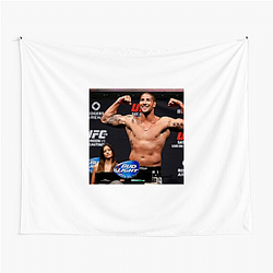 Brendan Schaub Special Collection Brendan Schaub Tapestries