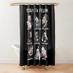 Sebastian Stan Funny Bucky Barnes Shower Curtain