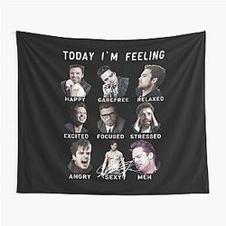 Sebastian Stan - Funny Feelings Bucky Barnes Tapestry