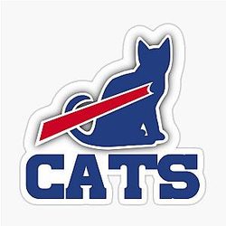 Buffalo Bills Sticker
