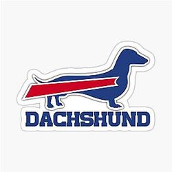 Buffalo Dachshund Sticker