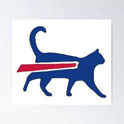 Cat Bills is Buffalo Bills Funny Meme Poster