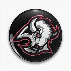 Art Buffalo Sabres Pin