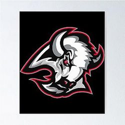 Buffalo Sabres Poster
