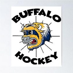 Art Buffalo Sabres Poster