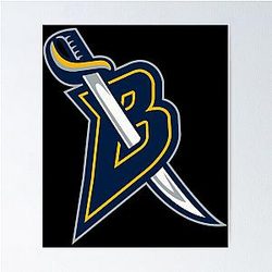 Art Buffalo Sabres Poster