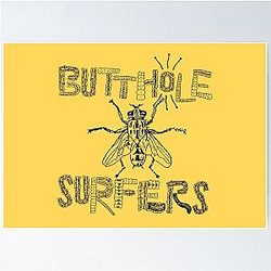 Butthole Surfers Fly Poster