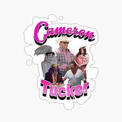 Modern Family Cameron Tucker Stickers
