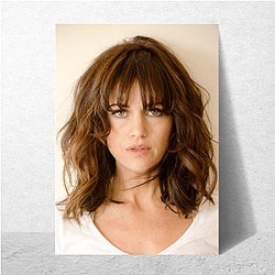 Style Icon Carla Gugino Posters