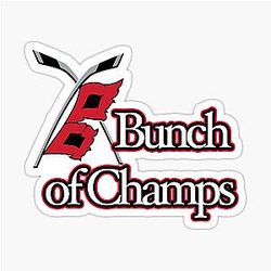 Carolina Hurricanes - Sticker of Champs
