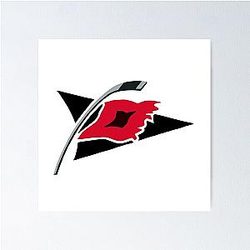 Carolina Hurricanes Poster