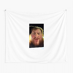 CaseOh also has a massive following on TikTok and YouTube Case Oh Tapestries