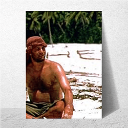 Cast Away features a famous volleyball named Wilson Cast Away Posters