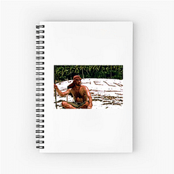 Cast Away features a famous volleyball named Wilson Cast Away Notebook