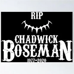 RIP Chadwick Boseman Poster