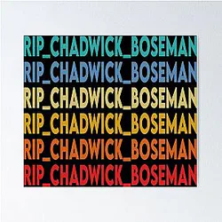 Rip Chadwick Boseman LGBT Poster