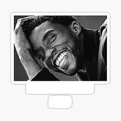 Chadwick Boseman: Rest In Power King