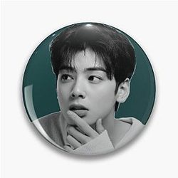 True beauty Cha Eun-woo Pin