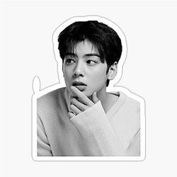 True Beauty: Cha Eun Woo Sticker