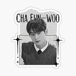 Cha Eun-woo Kpop Solo Artist Scrapbook Collage Cozy Y2K Vintage Design Sticker