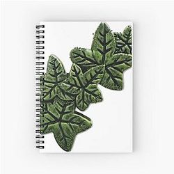Evermore album Ivy - Champagne Problems, Willow, Happiness, Long Story Short Spiral Notebook