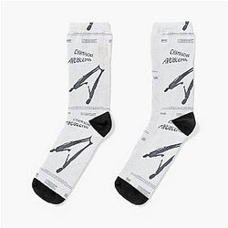 champagne problems Taylor swift Socks